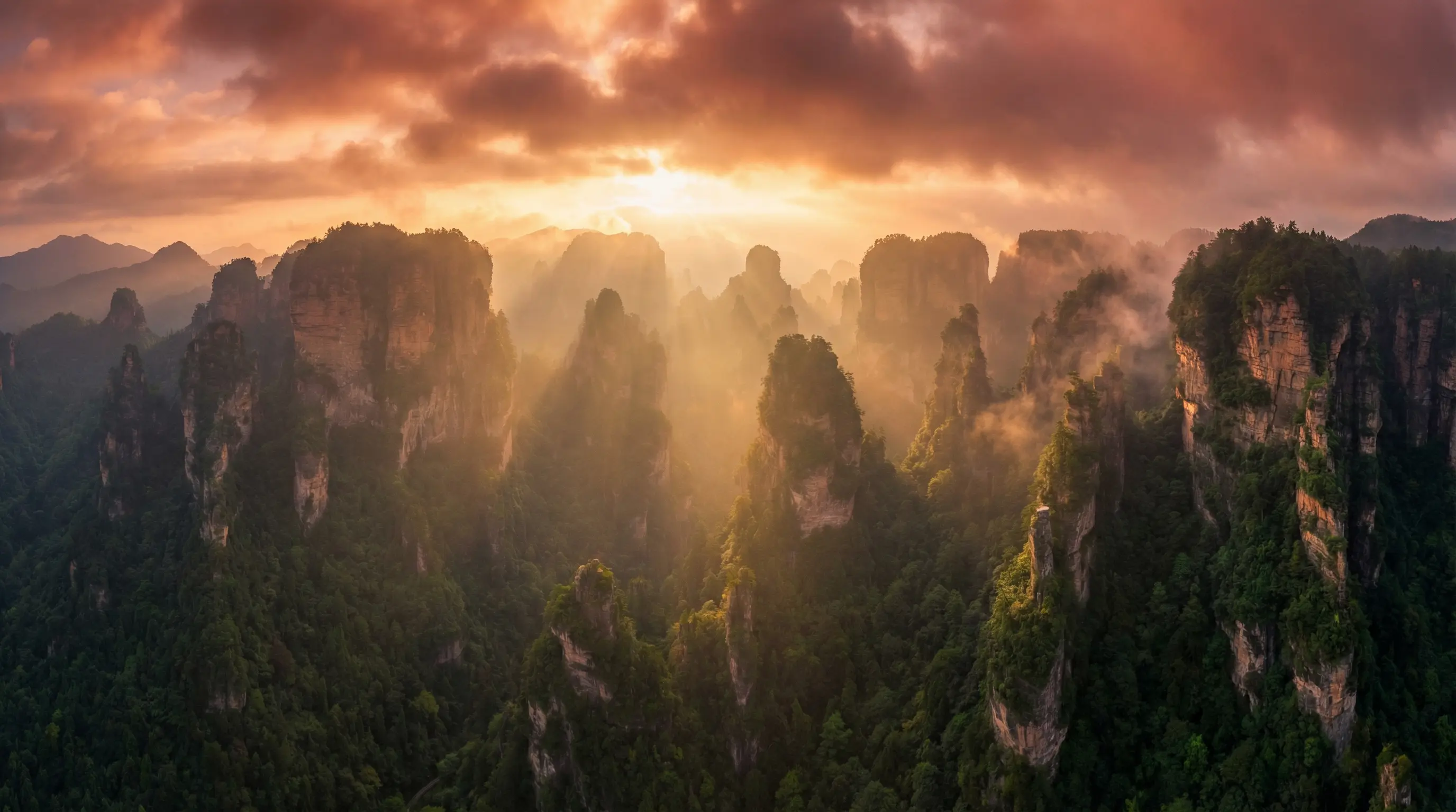 无颜之月增删带翻译樱花 自然风光视频封面